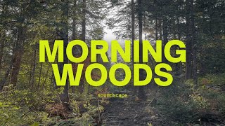 432hz Sounds (3 Hours): Canadian Woods with Chipmunks 432 Hz and