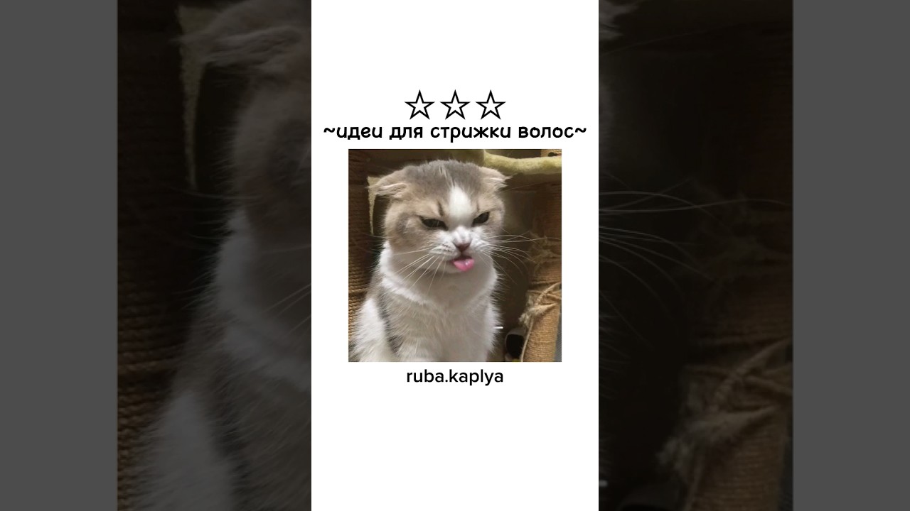 🦥 #аапорошенковипустименезвідси #идеи #для #стрижки #идеидлястрижки