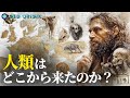 最新ゲノム研究によって明かされた人類の起源