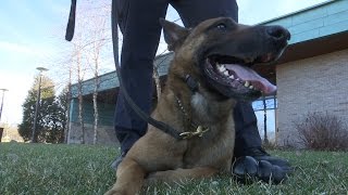 Verbrugge View – K9 Unit