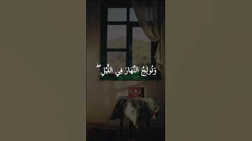 تولج الليل في النهار وتولج النهار في الليل وتخرج الحي من الميت = سورة آل عمران = #سيد_سعيد #quran