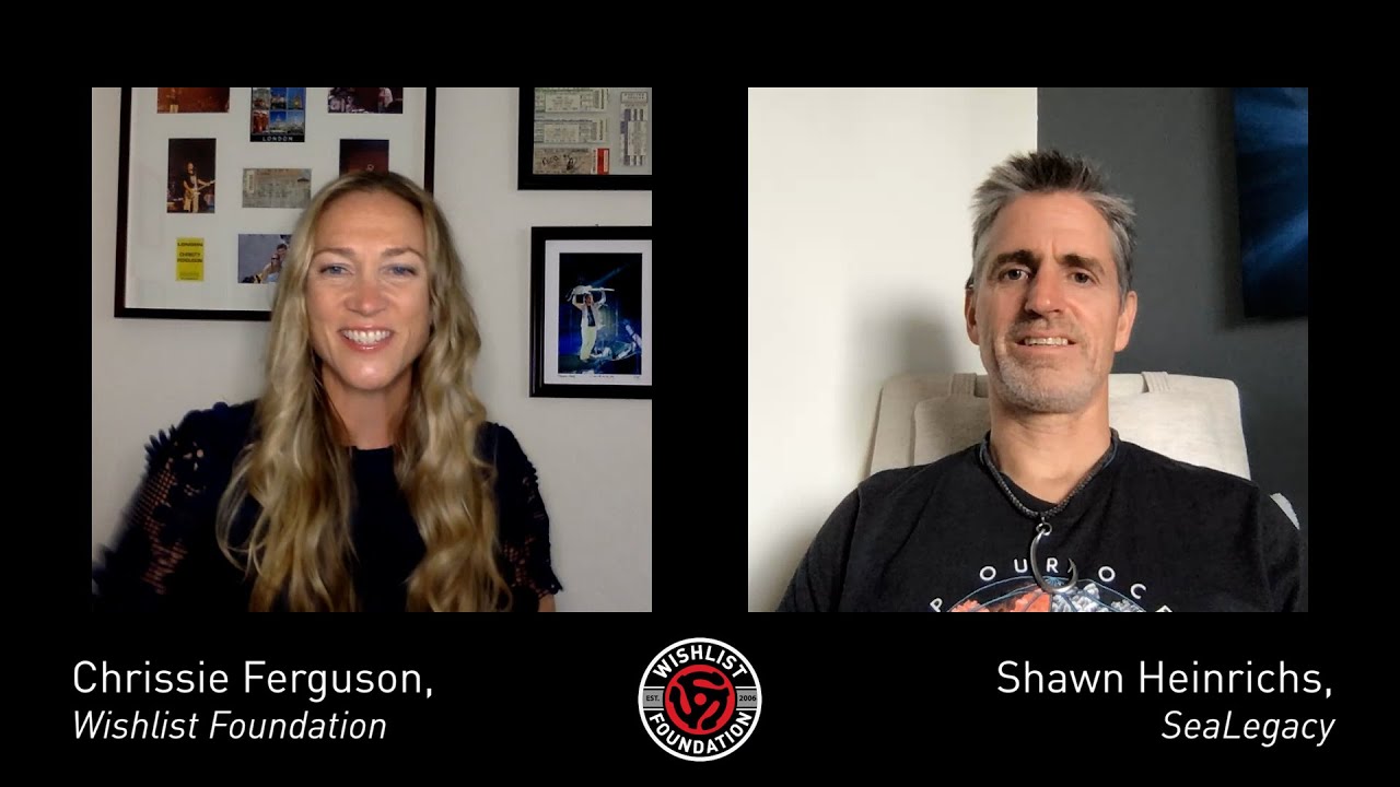 The Artist Series: Wishlist Foundation Interviews Shawn Heinrichs