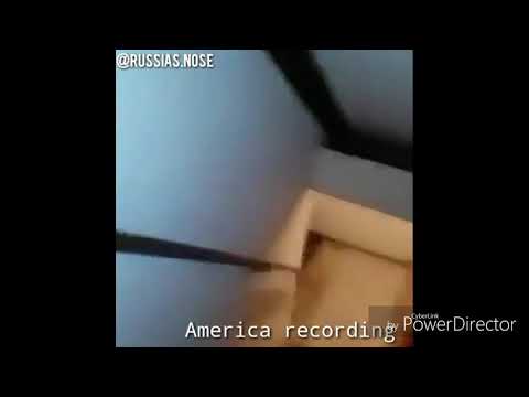 America in a nutshell (nose)