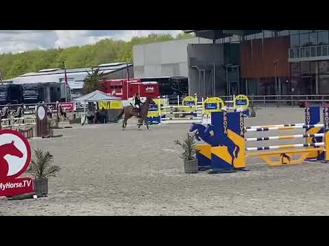 Vestale vd Windeweg CSIYH 7yo Opglabbeek