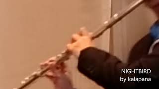 Nightbird By Kalapana Flute Cover Easy Listening Smooth Jazz Crossover Instrumental