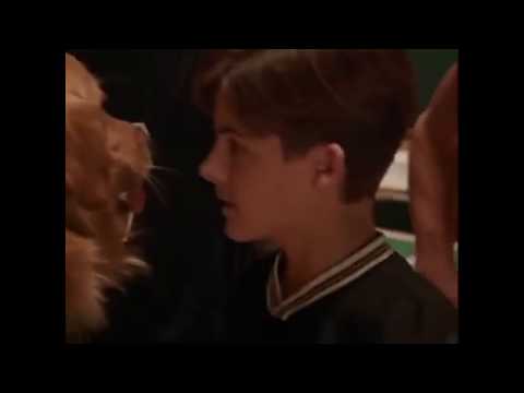 air-bud-2-part-1