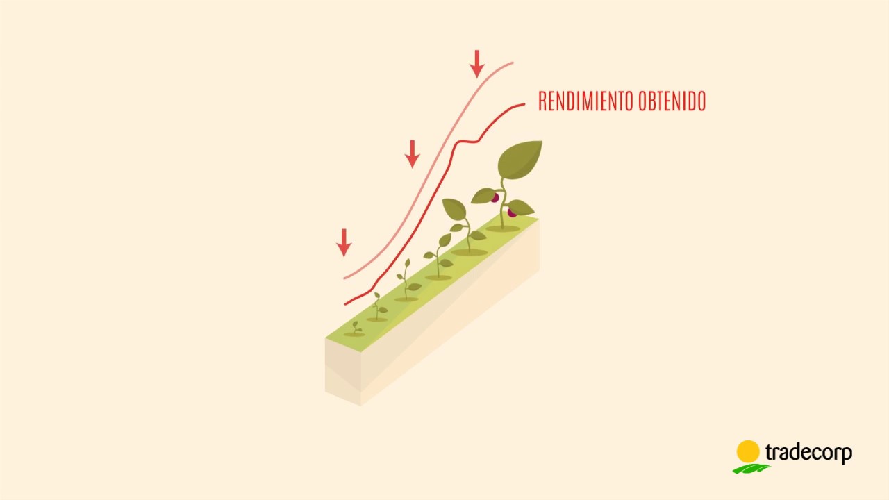 Delfan Plus - Habla el lenguaje de las plantas