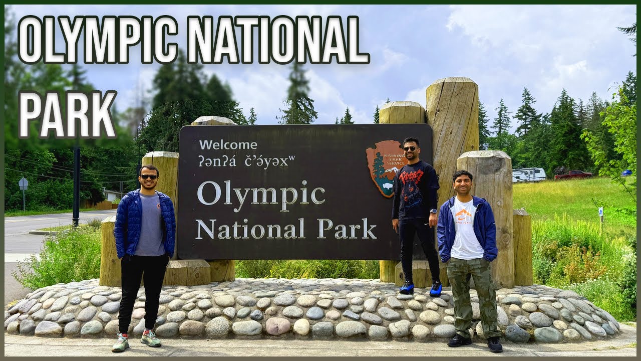 Lost in the Wild: A Weekend in Olympic National Park