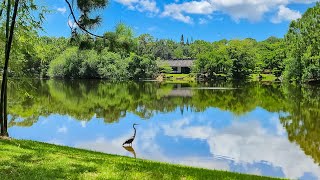 Morikami Museum and Japanese Gardens Palm Beach Florida. #travel #japanesegarden #nature #florida 