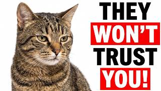 WARNING: 10 Mistakes That Make Your Cat Lose Trust In You Forever