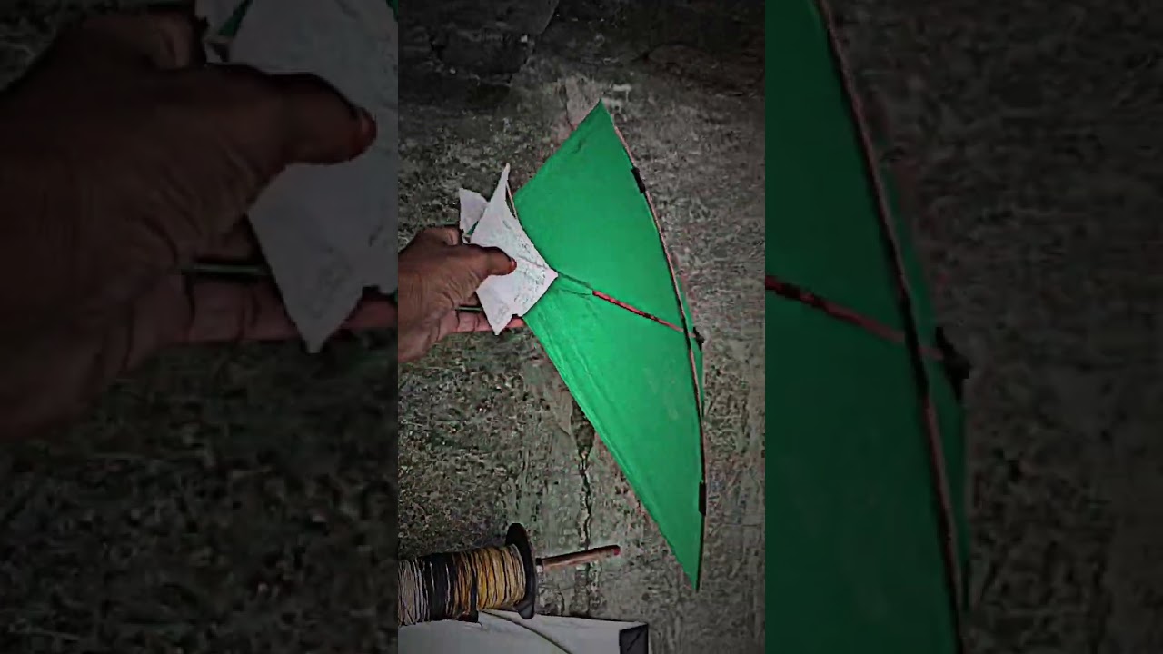 green kite white kite