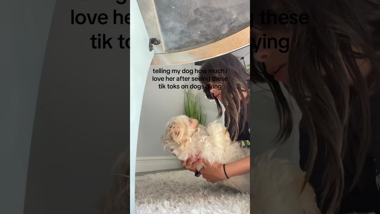 Expressing Love for a Dog After Watching Emotional Animal Videos