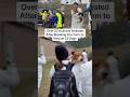 #news #rescue #dog #foryou