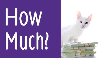 How Much Should I Pay For Hypnotherapy? - Hypnotherapy price in the UK