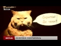 Як на скандал з "Громадським телебаченням" відреагували соціальні мережі