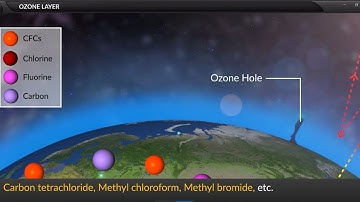 Class 10 - Biology - OUR ENVIRONMENT - OZONE LAYER