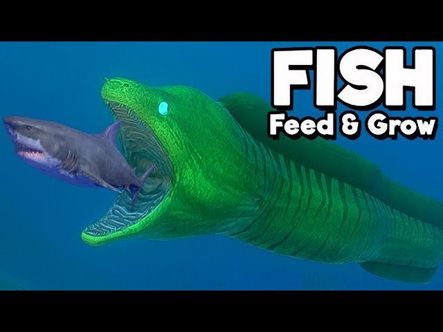 Feed and Grow Fish Gameplay German - Titanichthys Level 100