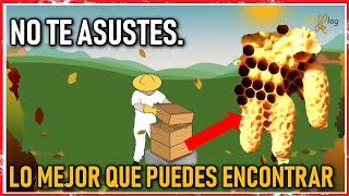 Que debes hacer cuando hay CELDAS REALES en tu colmena.