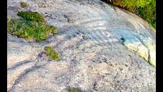 New 2018 Discovery - Tracks of Ancient Maglev or Hover Crafts in Bulgaria?