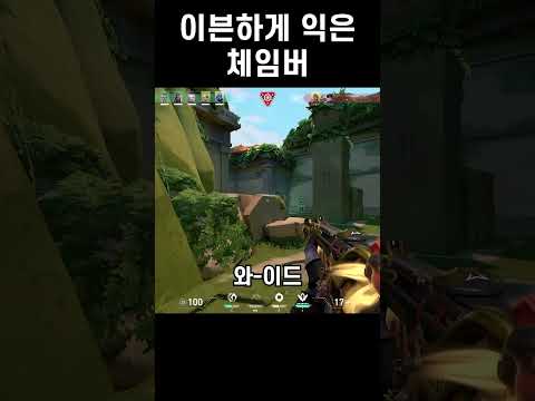 이븐하게 익은 체임버