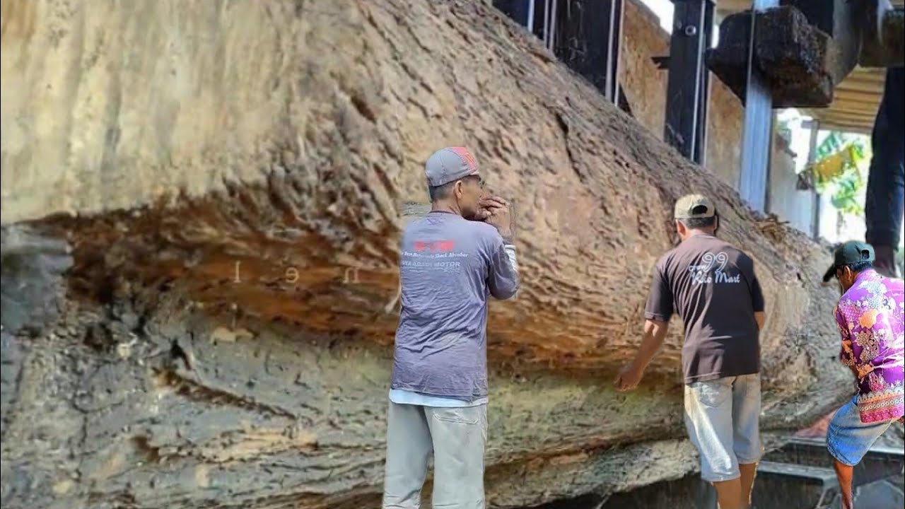 Sawing And Cutting Teak Wood Which Is Suspected To Be The Result Of sawing-and-cutting-teak-wood-which-is-suspected-to-be-the-result-of
