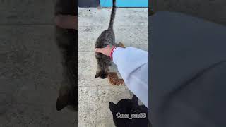 19 Tlye Mutluluk लल Şfet