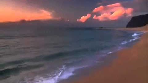 تلاوة تذهب بك في عالم اخر .... الشيخ ماجد الزامـــــــــــــــل