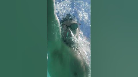 The Classics Swimwear