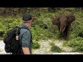 DES ÉLÉPHANTS NOUS CHARGENT EN PLEIN TOURNAGE ! - Cyril Chauquet