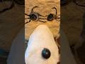 My homemade Jasper progress #CEC #chuckecheese #jaspertjowls
