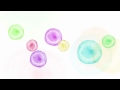 フレネシ「ピュアシャンプー」PV