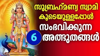 മരകൻ കടയളളപപൾ കണനന 6 ലകഷണങങൾ സബരഹമണയ സവമ കട ഉണടങകൽ നടകകനന അതഭത