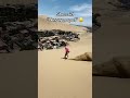 The views 🔥😧 (via @huacachina_sandboard/TT)