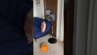 66 Summer St, Apartment 8D | Buffalo Management Group
