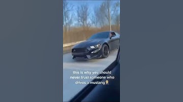 Mustang crowd/Car killers 😂😂