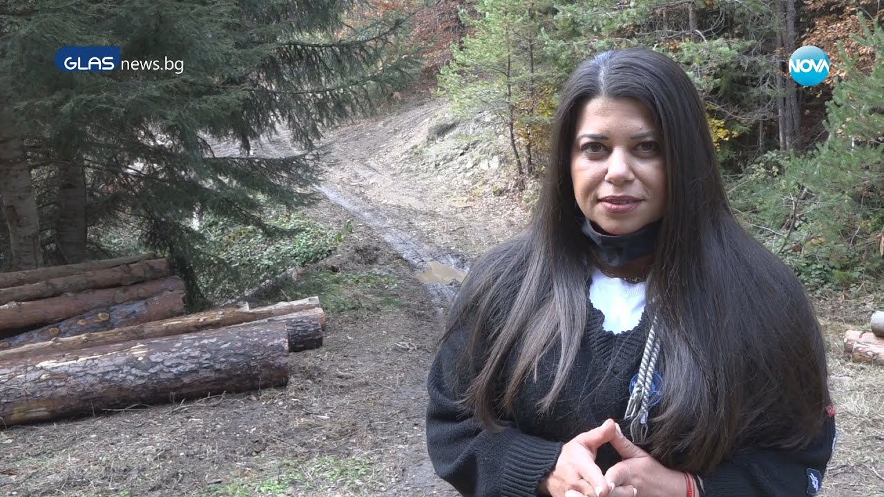 РАЗСЛЕДВАНЕ НА ТИНА ИВАЙЛОВА: Как се изсича общинска гора?