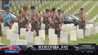 Tens of thousands of American flags placed by the graves of fallen military members
