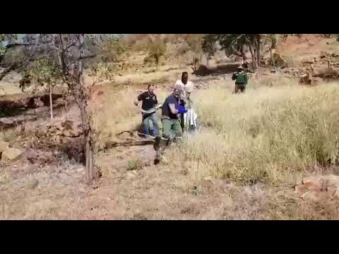Massive Python caught in South Africa