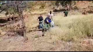 Famous Massive Python caught in South Africa Profile