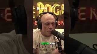 Beefalo The Truth Behind This Hybrid Animal