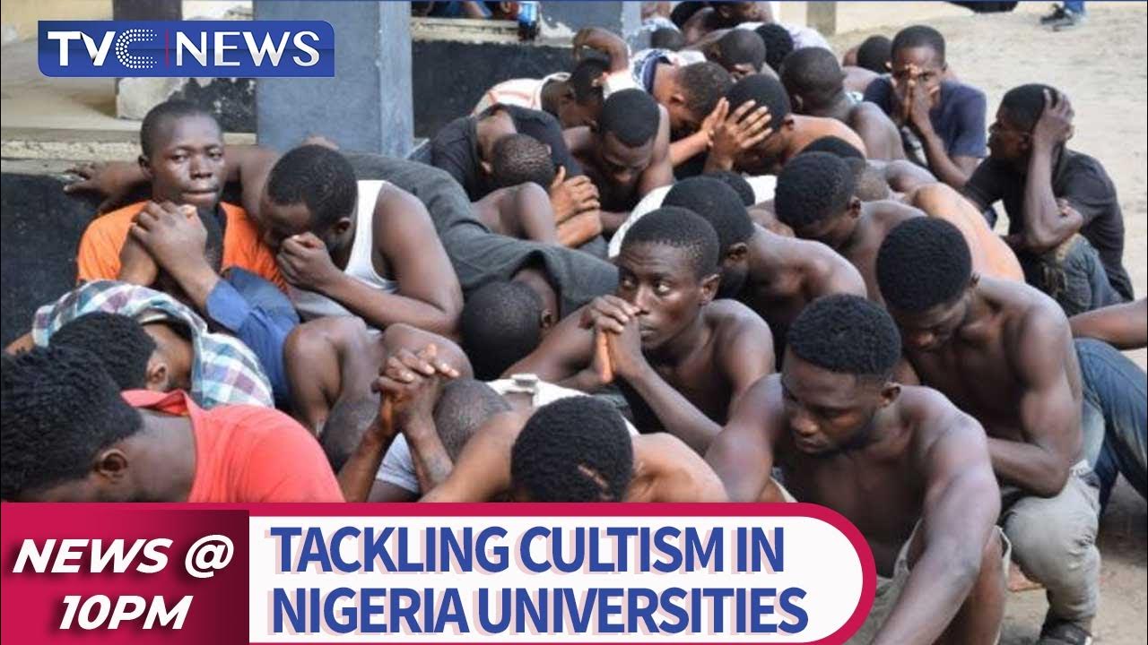 Group Restates Commitment To Tackling Cultism In Nigeria Universities