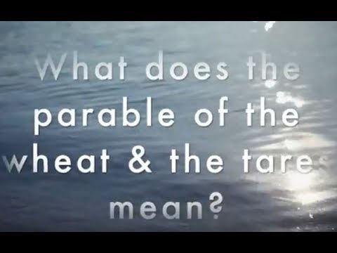 Video: What Does The Gospel Parable Of The Tares Mean?