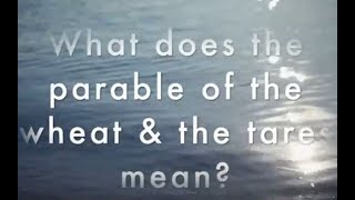What Does The Parable Of The Wheat And The Tares Mean Christian Questions Cq Bible 101
