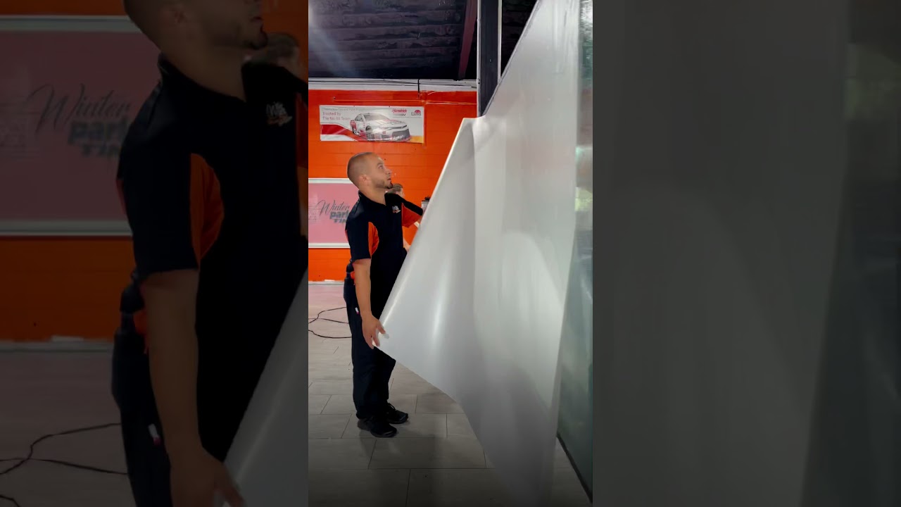 Tesla Model S Full Body Llumar Matt Paint Protection