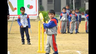 Mini Cricket Miniac | Allenhouse Public School Lucknow screenshot 1