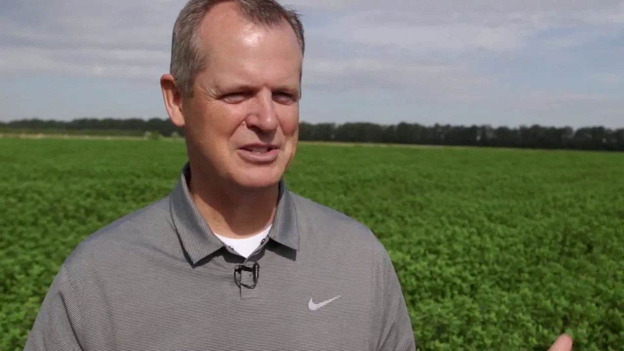 Impactar en vidas con aceites esenciales: Esseterre Bulgaria remedios naturales para la artritis