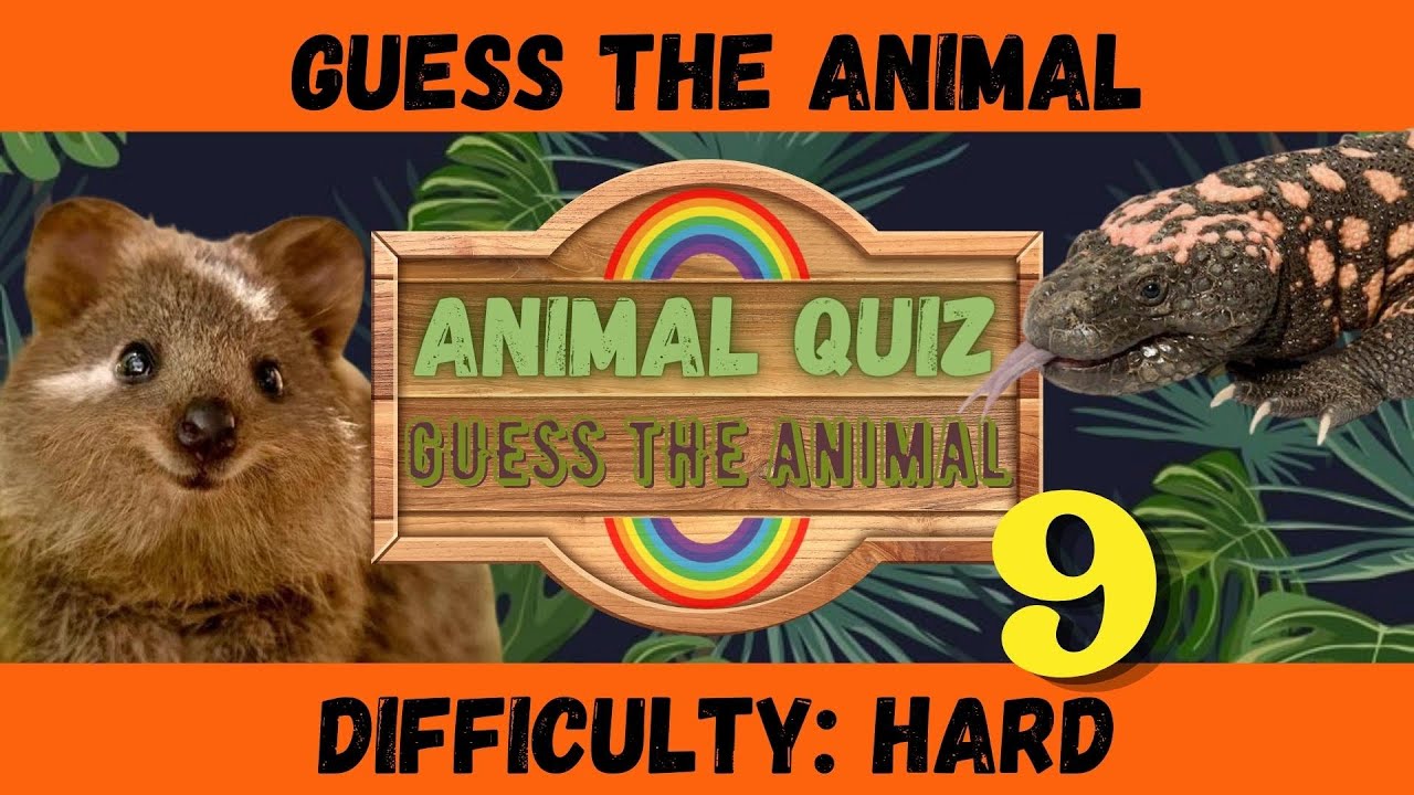 exploding kittens neanderthal
