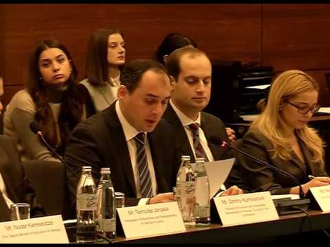 საქართველოსა და ლატვიას შორის მთავრობათაშორისი კომისიის სხდომა გაიმართა