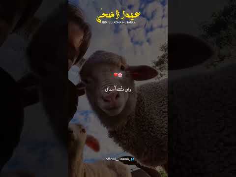 Eid Ul Adha Mubarak Status || Eid Mubarak WhatsApp Status || Eid Status 2026 || Baqra Eid Mubarak 🐏