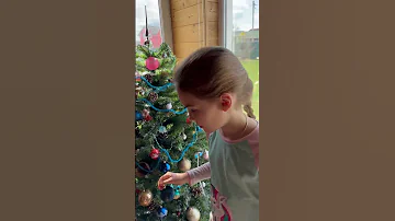 Когда нужно убирать Новогоднюю Елку на Лето 🎄#прикол